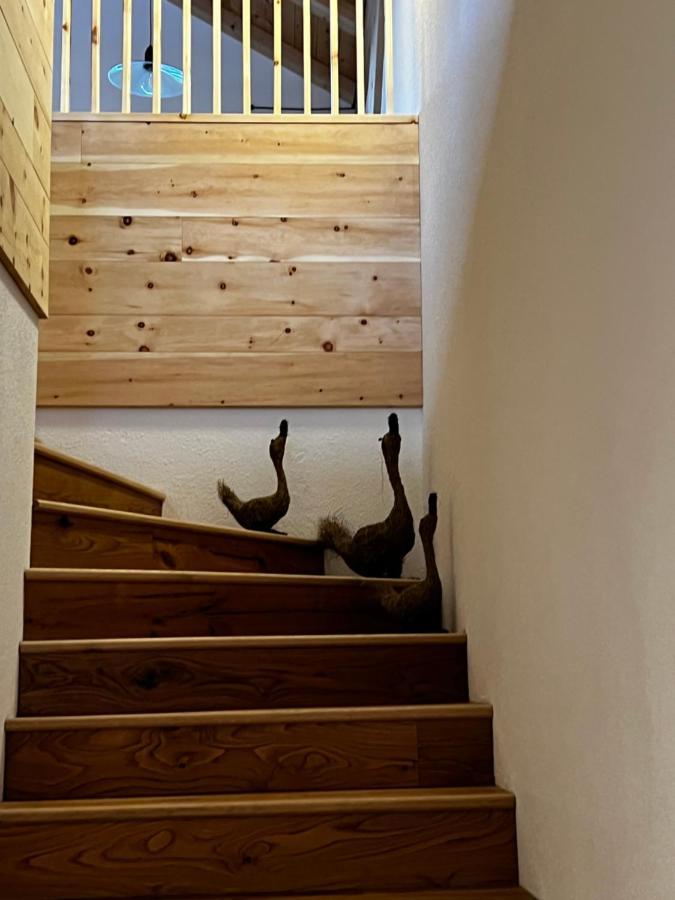 Luech Dl Finatzer Apartment San Martino in Badia Bagian luar foto